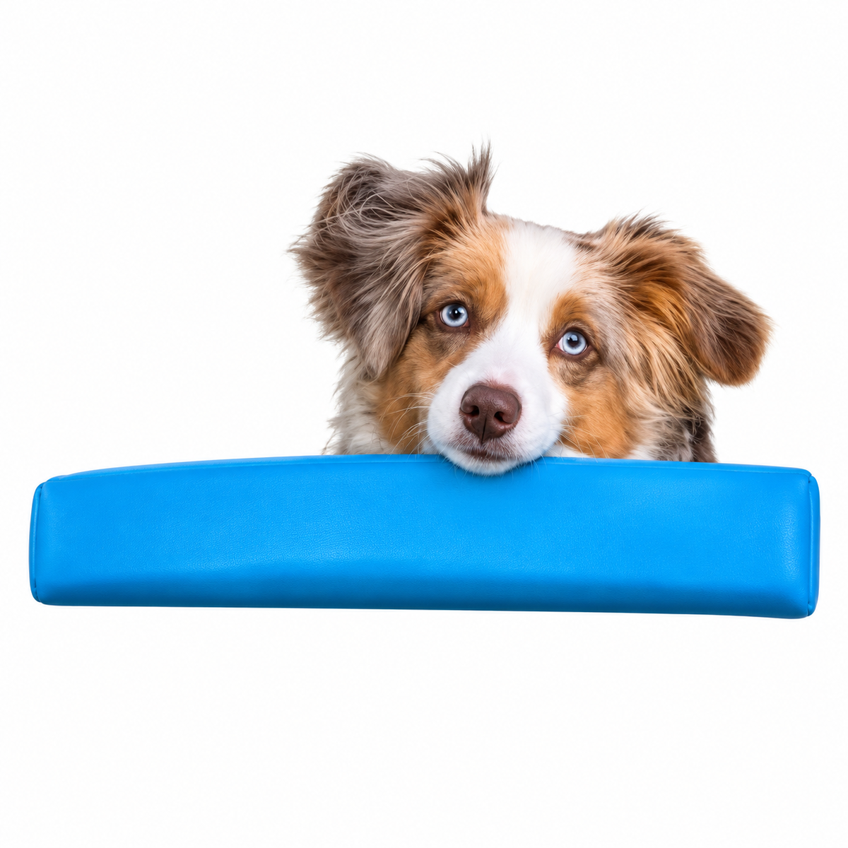 Blue dog car window chin rest cushion on a white background