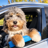 Dog using the blue car window chin rest cushion